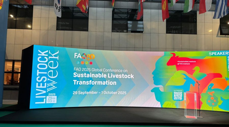 fao-2025-global-conference-on-sustainable-livestock-transformation-01