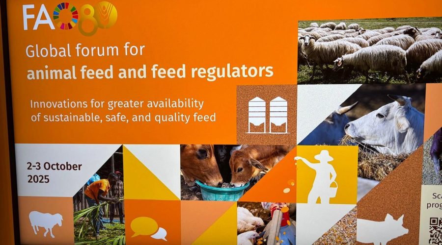 global-forum-fao-2025-04
